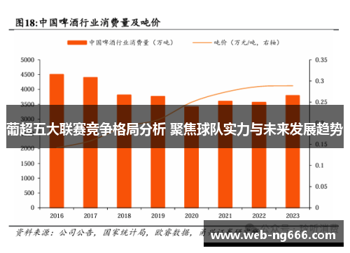葡超五大联赛竞争格局分析 聚焦球队实力与未来发展趋势