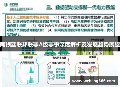 阿根廷联邦联赛A级赛事深度解析及发展趋势展望