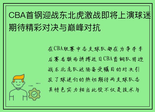 CBA首钢迎战东北虎激战即将上演球迷期待精彩对决与巅峰对抗